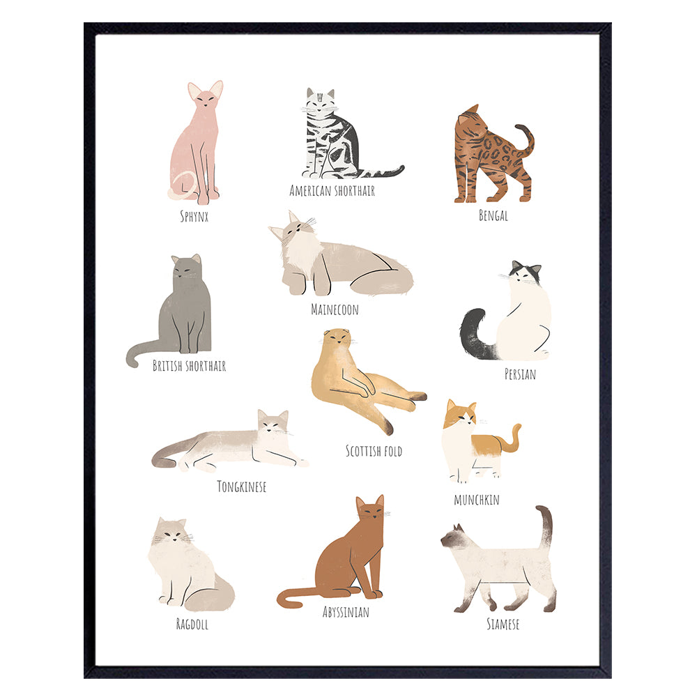 Minimalist Abstract Cat Wall Art &amp; Decor - Cat Lover Gifts for Women - Mid Century Modern Cat Home Decor - Kitty Cat Themed Gifts - Cute Cat Posters for Girls Bedroom - Siamese Tabby Kitten Decor