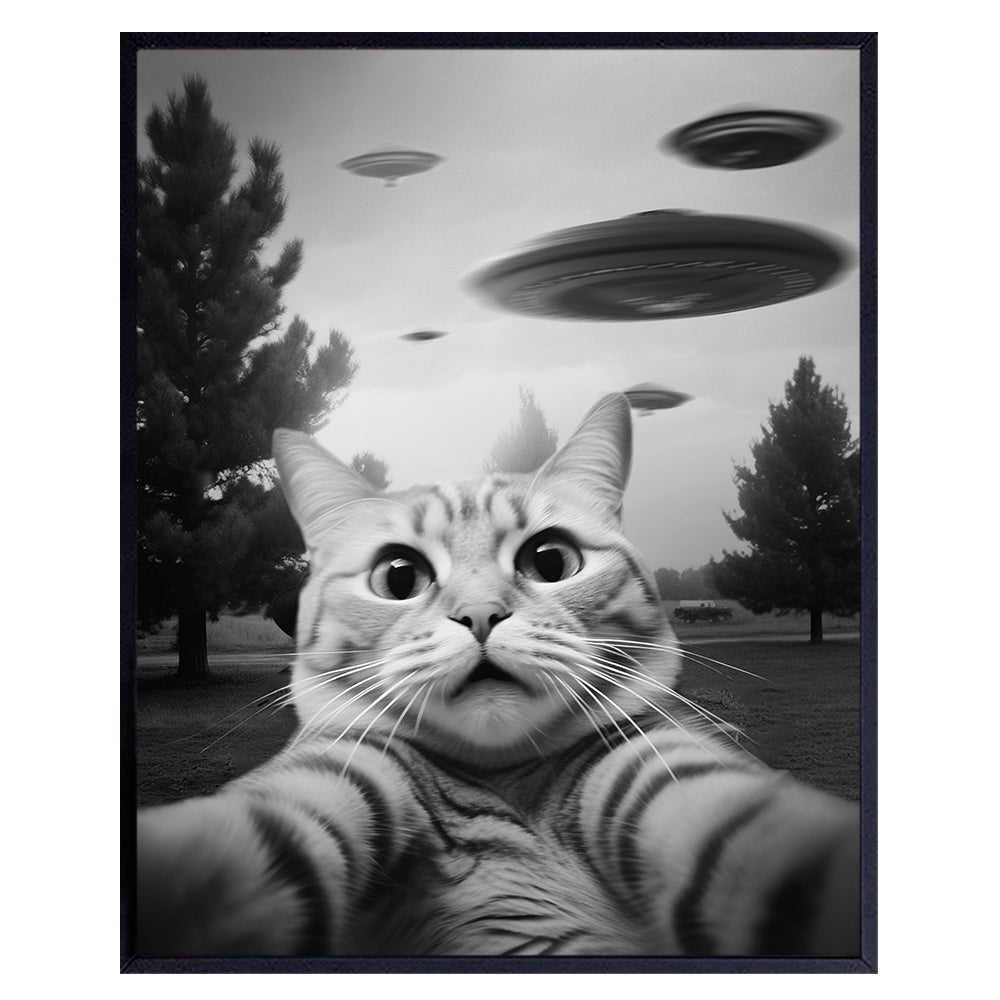 funny Cat Wall Art &amp; Decor - Cat Themed Wall Decor - funny Wall Art for Teen Boy, Boys Bedroom Decor -Cat Pictures - Cat Gifts for Men - Cat Themed College Dorm Room Decor Poster - UFO Wall Decor